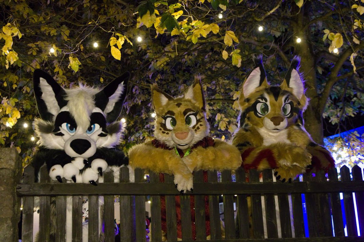 Freunde auf 2 Pfoten e. V. tweet media