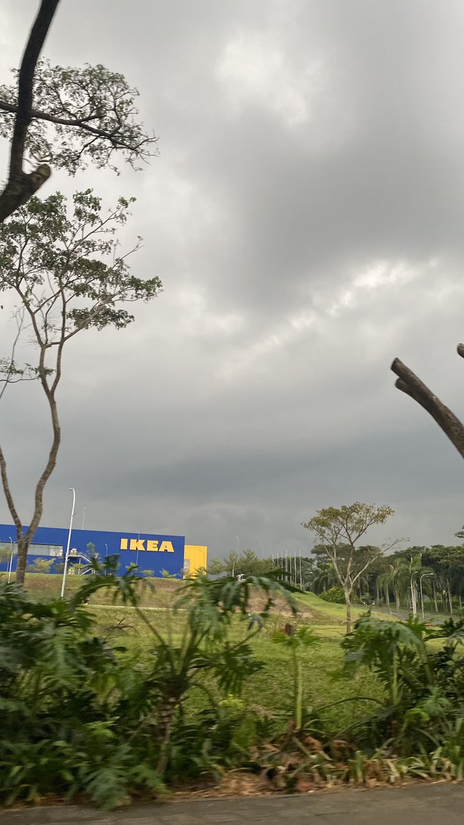 amymuy🦸🏻‍♀️ tweet media