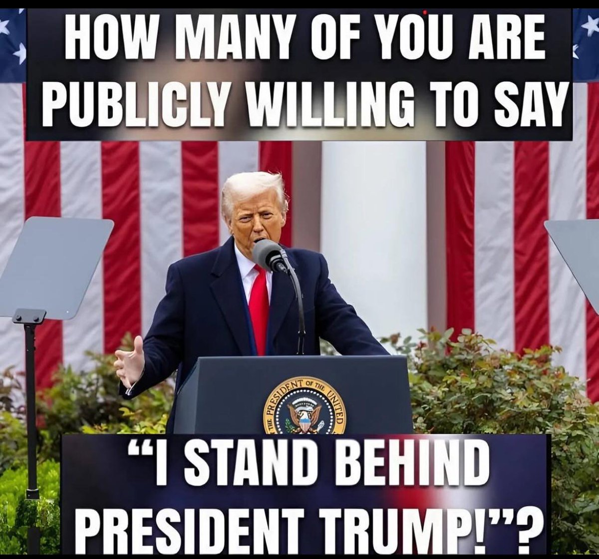 Luna Jones🇺🇸 tweet media