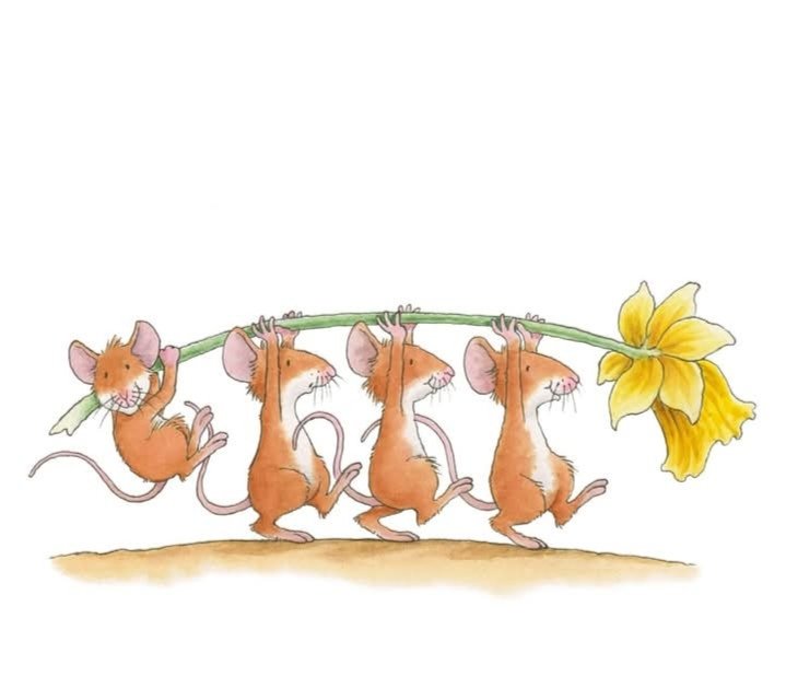 Valentine 💄 tweet media