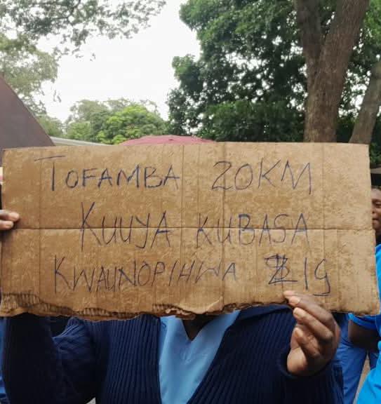 We stand Solidarity  with the striking nurses at Sally Mugabe Hospital in Harare in demand  for fair living wages. 
<a href="/ZctuZimbabwe/">ZCTU - Zimbabwe</a> <a href="/amnesty_zim/">Amnesty International Zimbabwe</a> <a href="/ARTUZ_teachers/">Amalgamated Rural Teachers Union of Zimbabwe,ARTUZ</a> <a href="/Zinasuzim/">ZINASU🇿🇼</a> <a href="/FiaZimbabwe/">Fight Inequality Alliance-Zimbabwe</a>