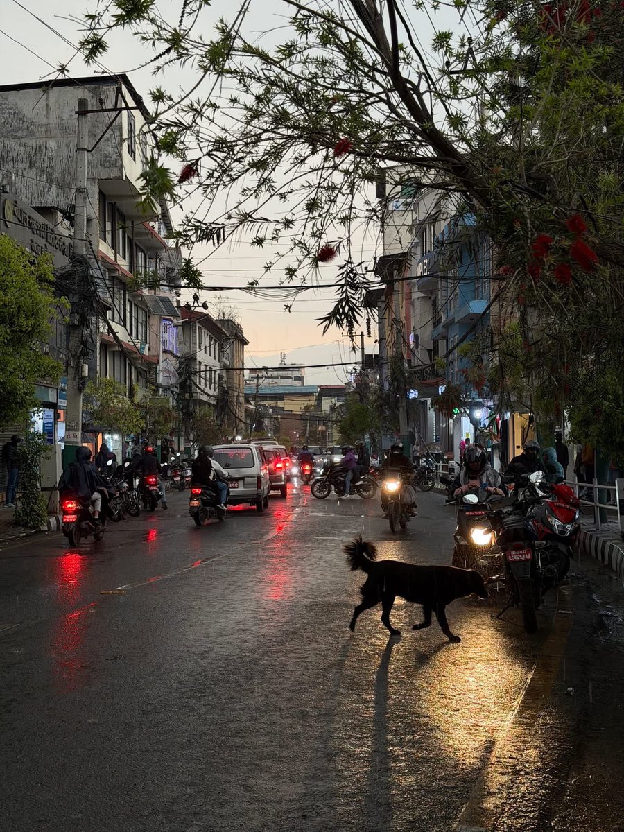 Routine of Nepal banda tweet media