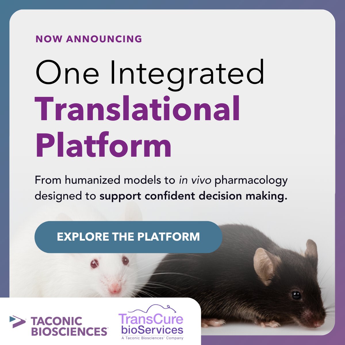 Taconic Biosciences tweet media