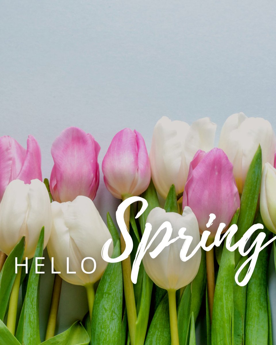 TheBarrelRun's tweet photo. We hope you have a beautiful first day of Spring from our family at The Barrel Run. 
#1stDayOfSpring

https://t.co/fikC4bmhGx https://t.co/OPogjN1olm