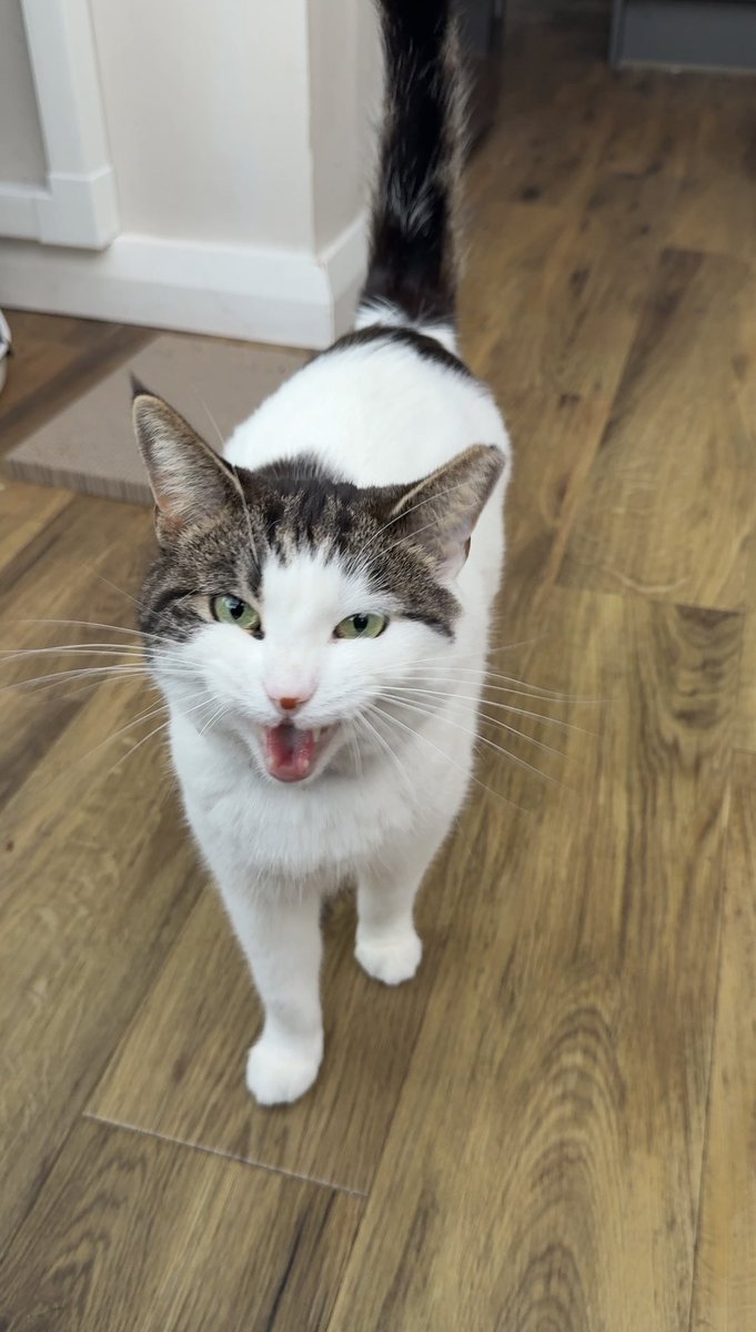 Andrew M tweet media