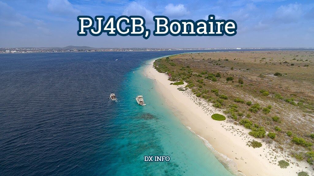 ๐๐ซ ๐๐ก๐๐ข tweet media