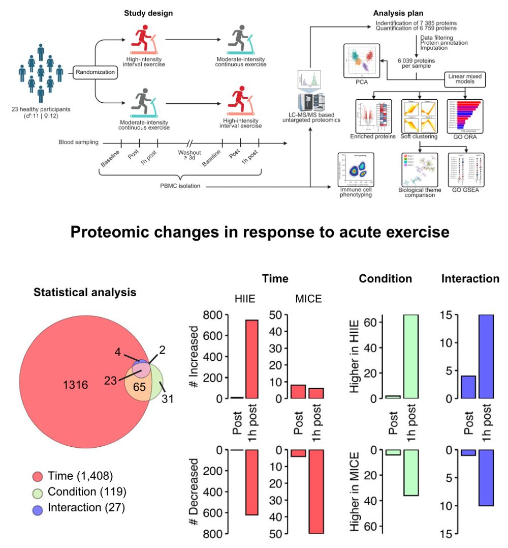 David Bishop (🦋 also bluespotscience.bsky.social) tweet media