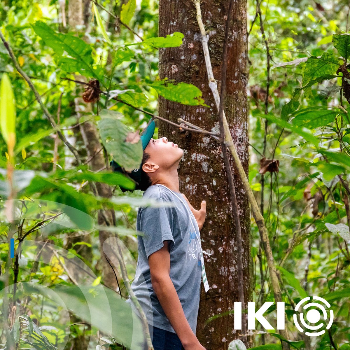 IKI Germany tweet media