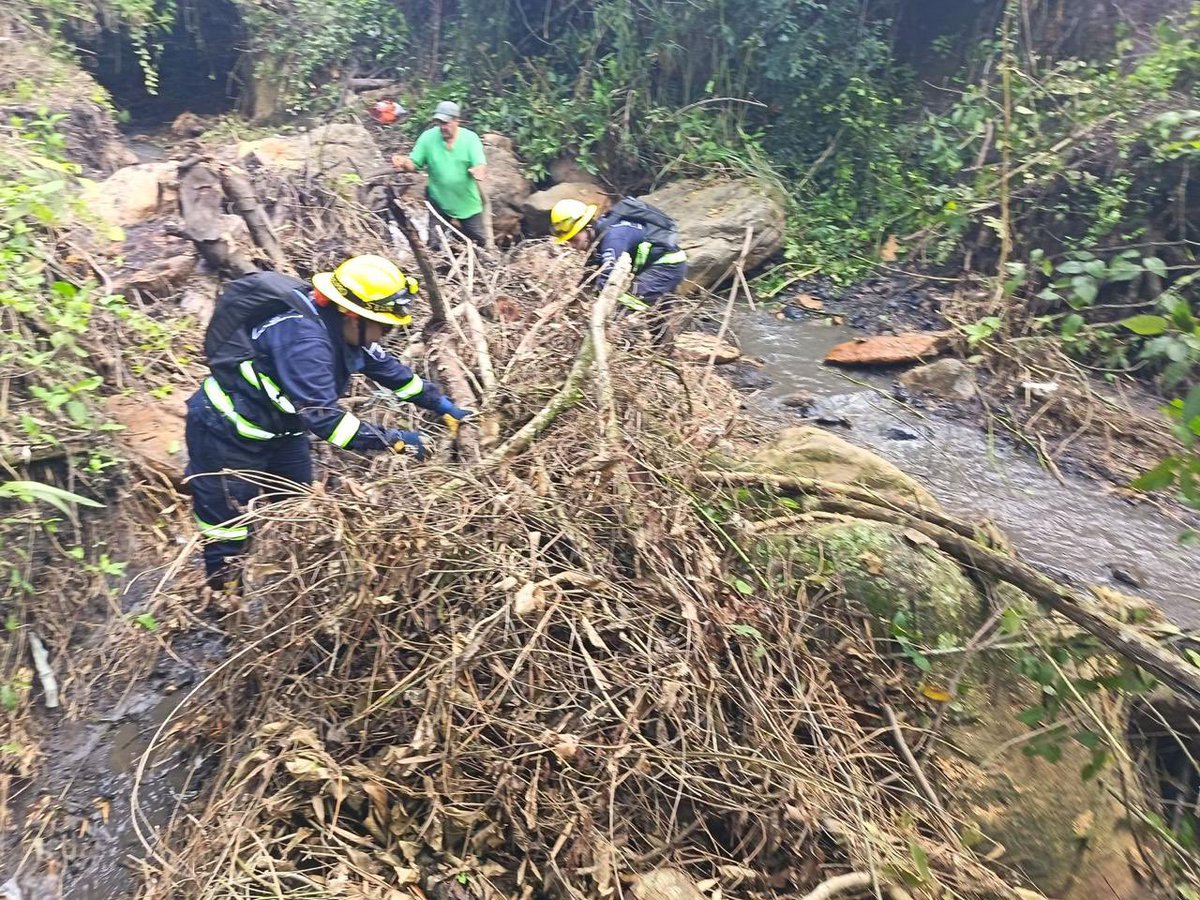 Alfred_Balle's tweet photo. Desplegamos maquinaria, brigadas y equipos técnicos en zonas críticas por época de lluvias en el territorio. 

Según pronósticos del @IDEAMColombia, las lluvias podrían aumentar hasta un 50% en los próximos meses, lo que exige mayor prevención, por eso nuestro llamado es a que se activen los planes de gestión de riesgo. 

Desde la @CAR_Cundi estamos a entera disposición con nuestros brigadistas y cuerpo de maquinaria para acompañar los municipios que lo requieran. 

¡Prevenir es proteger a nuestras comunidades!