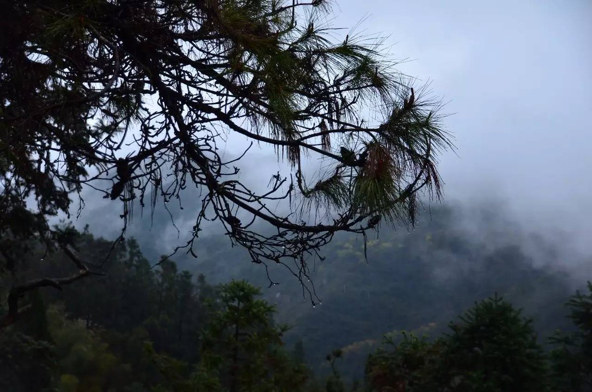 Anne-Marie Kundt tweet media