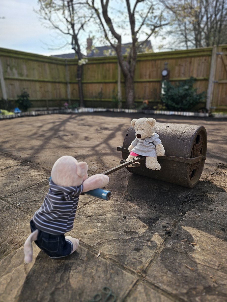 Nancy Bear tweet media