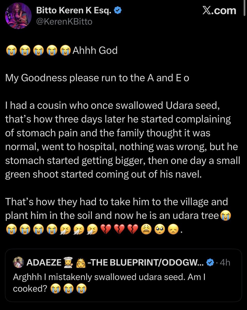 Iamveektoria.base.eth 🙂‍↔️🌳 ✠ tweet media