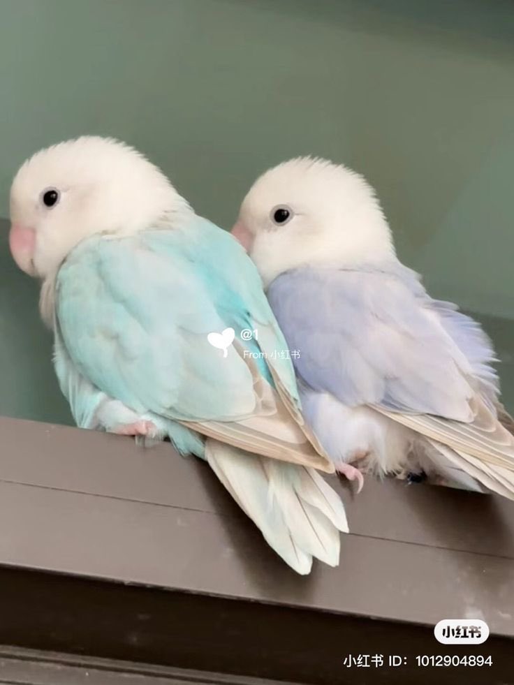 ♡ tweet media