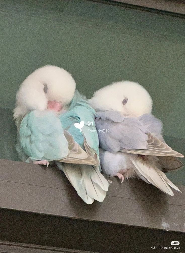 ♡ (@heart_jpg) on Twitter photo 
