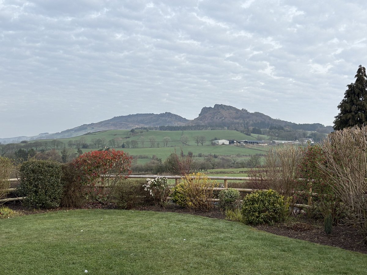 David Howe tweet media