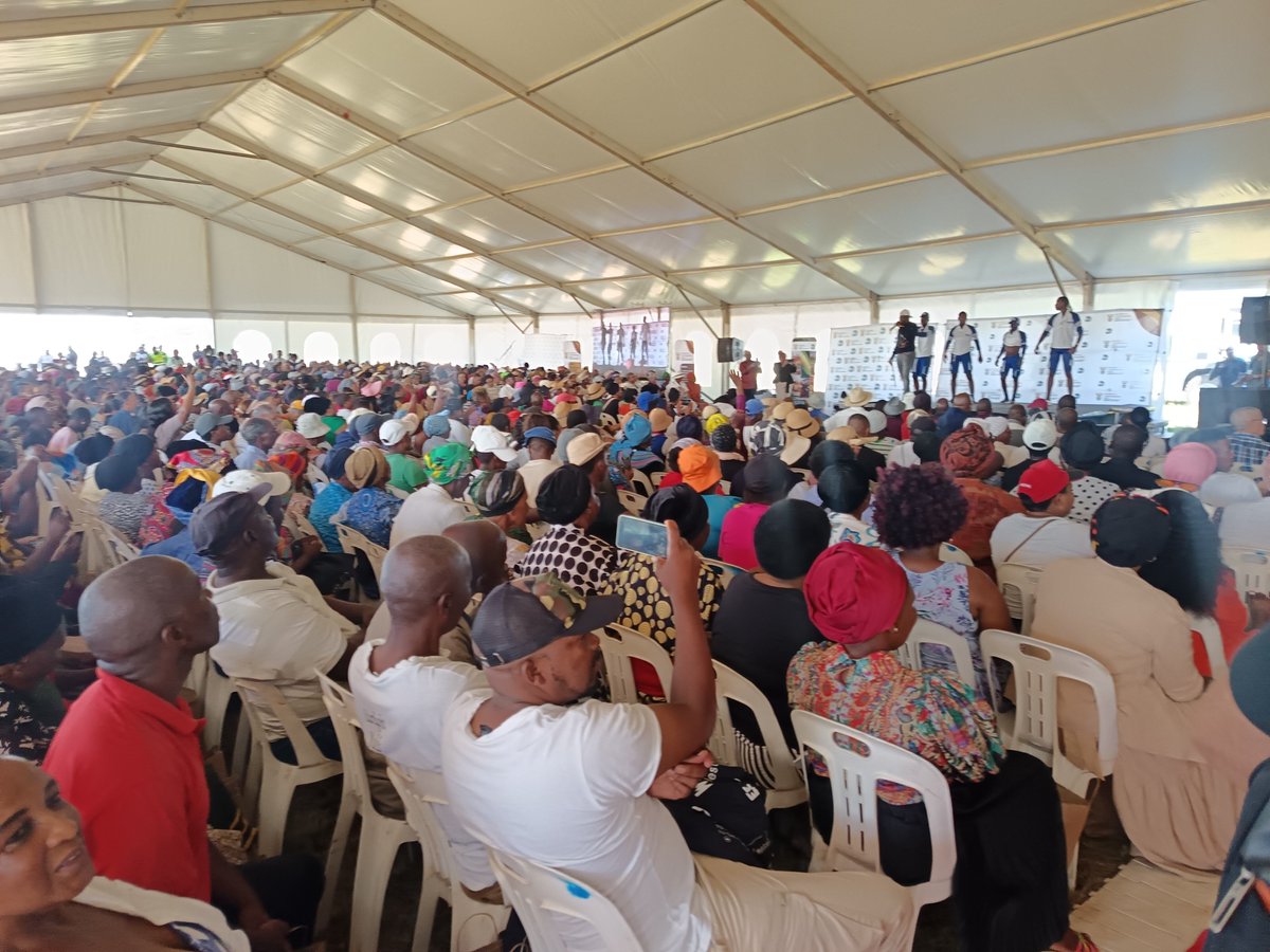 Jayed-Leigh Paulse tweet media