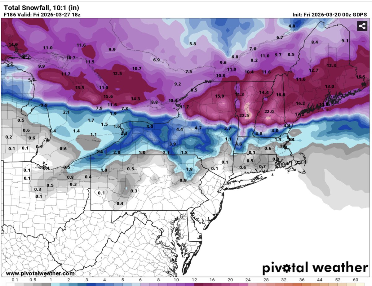 Tim Kelley tweet media