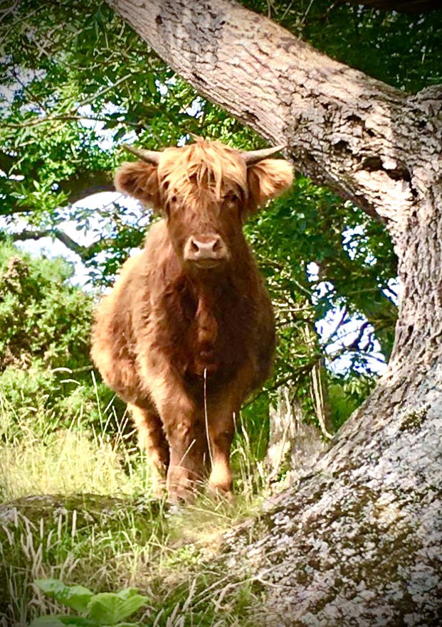 Women in Agriculture tweet media