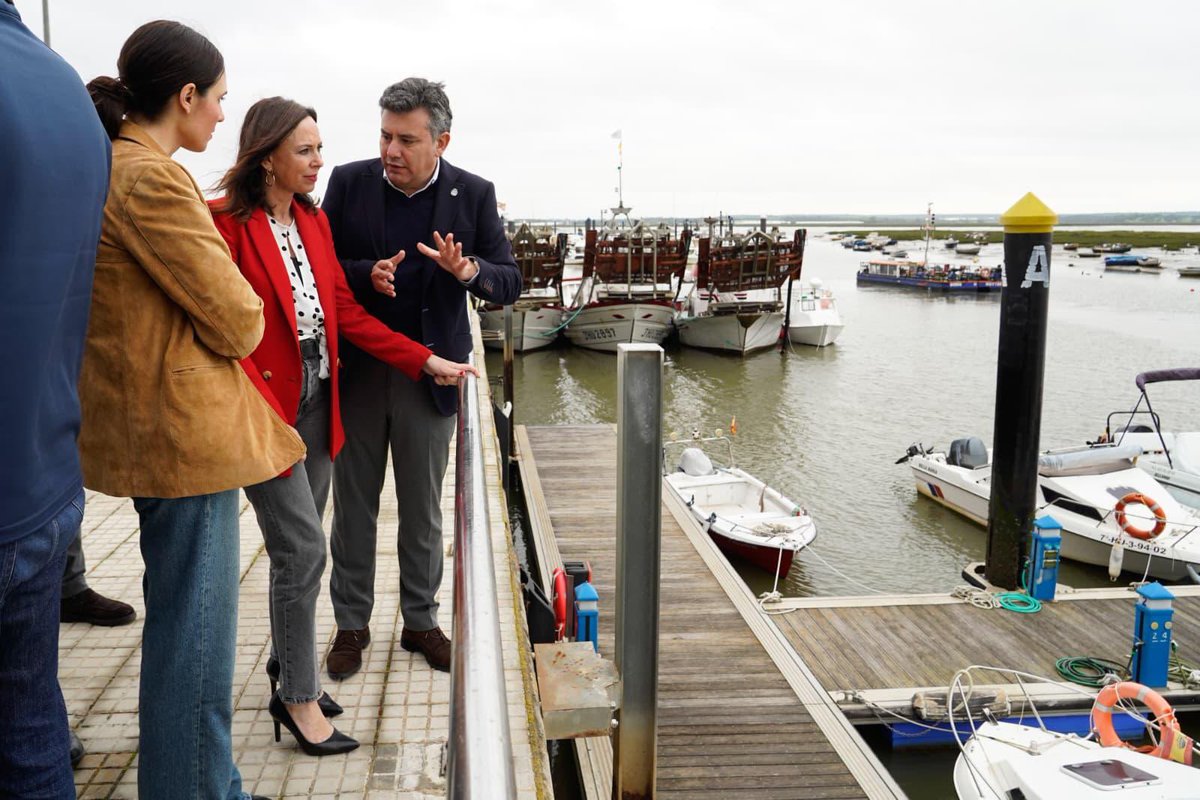 Rocío Díaz Jiménez tweet media