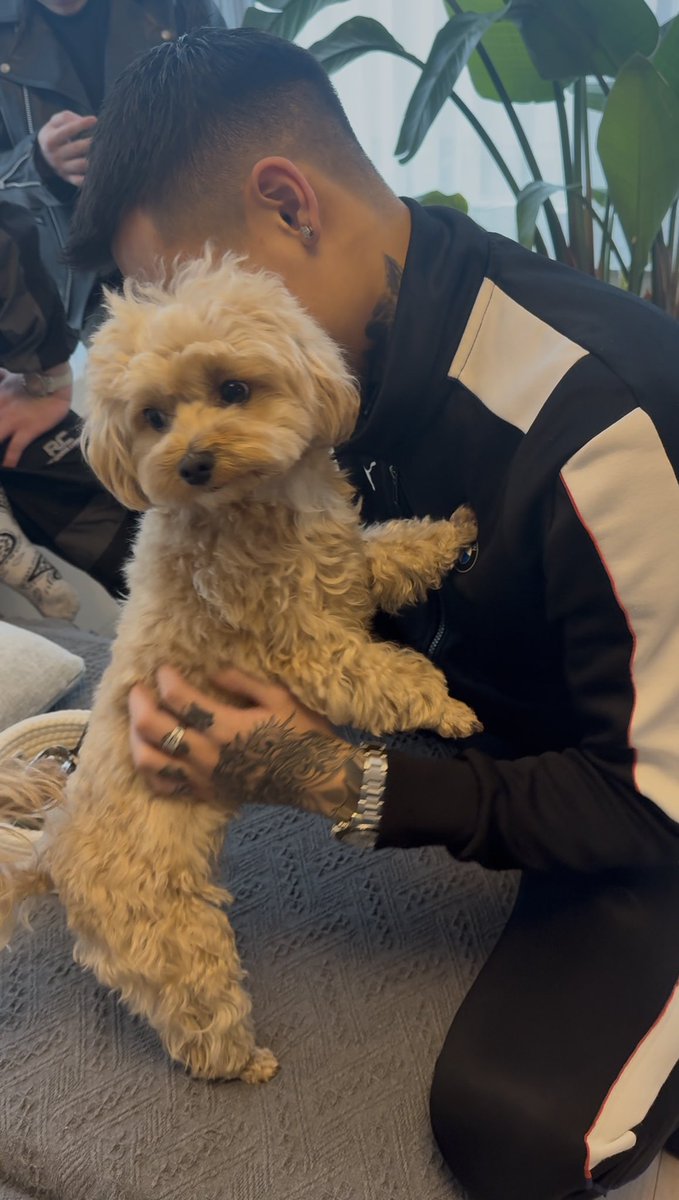 x_1ark's tweet photo. 浅はかなBitchより犬の方が好き🐶 https://t.co/vlQyyXPGrA