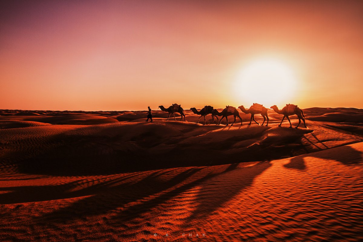 케이채 (K. CHAE) tweet media