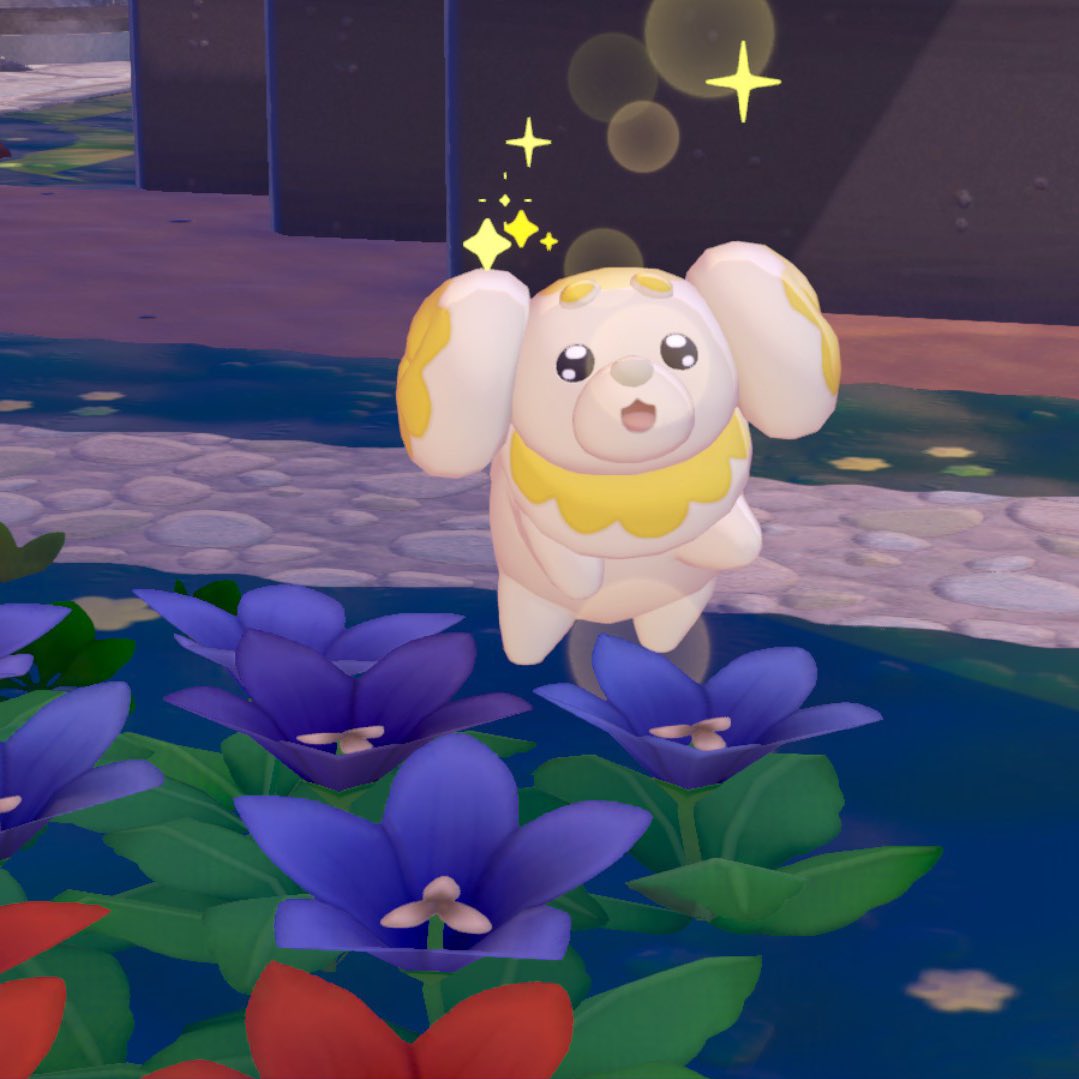 모똥이.. tweet media