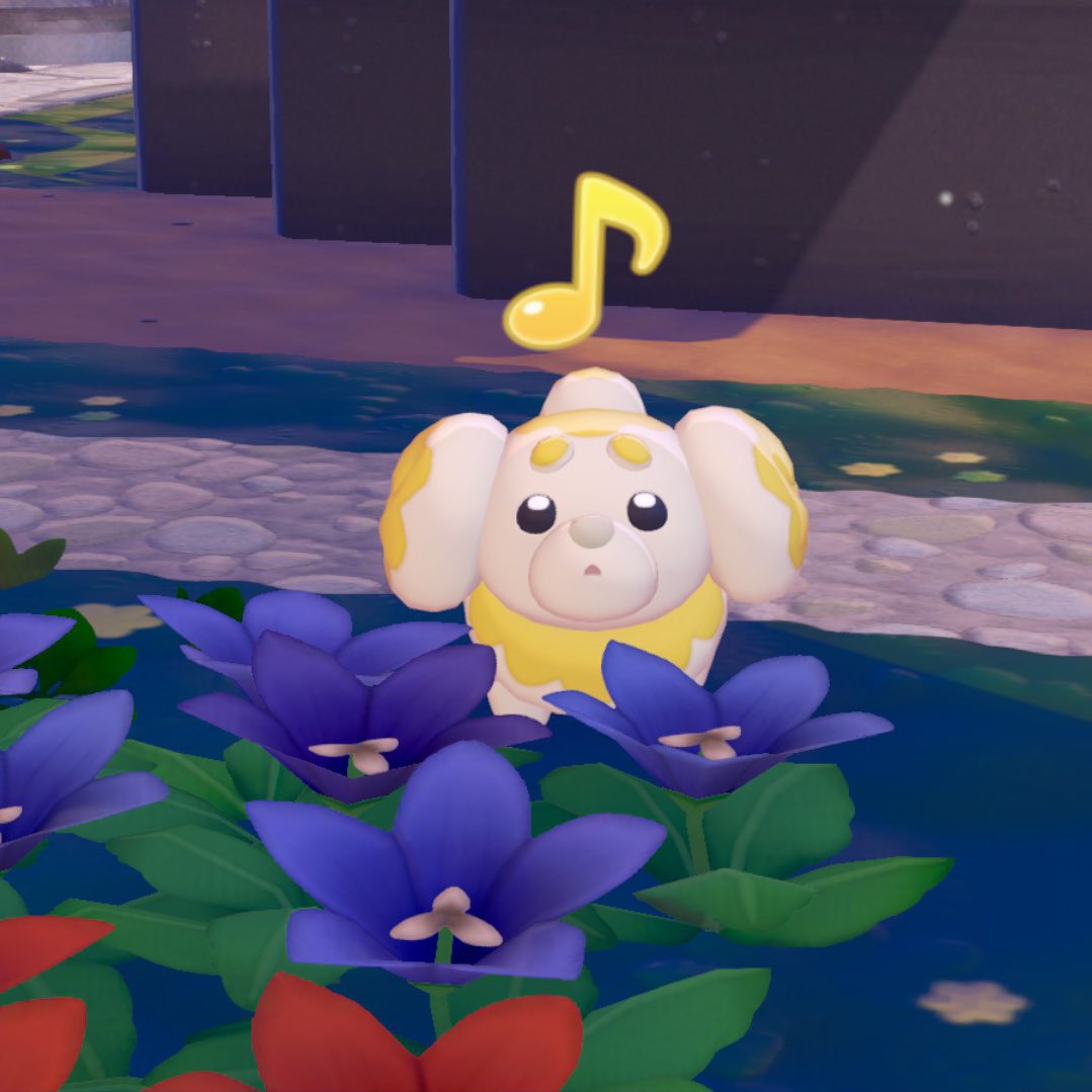 모똥이.. tweet media