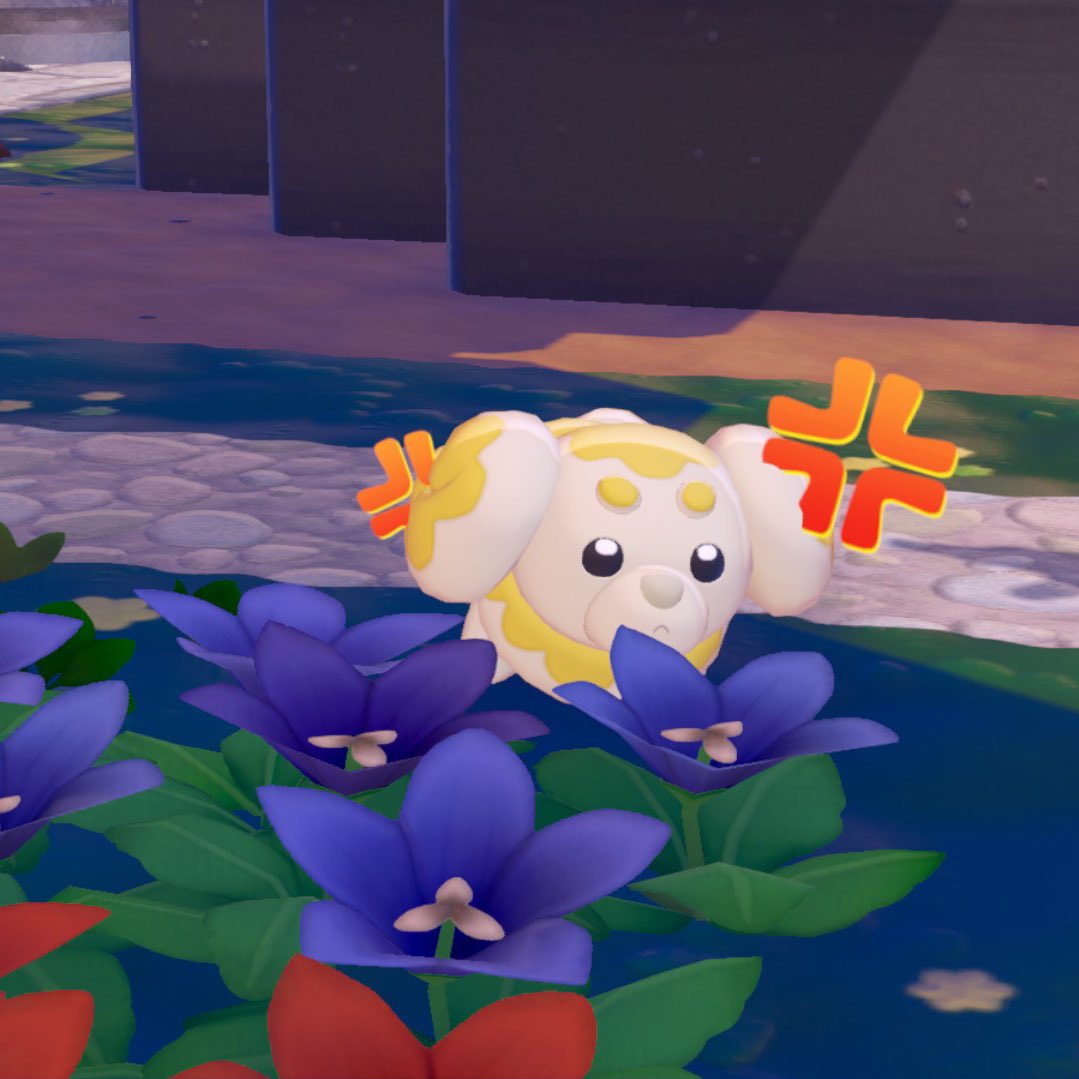 모똥이.. tweet media