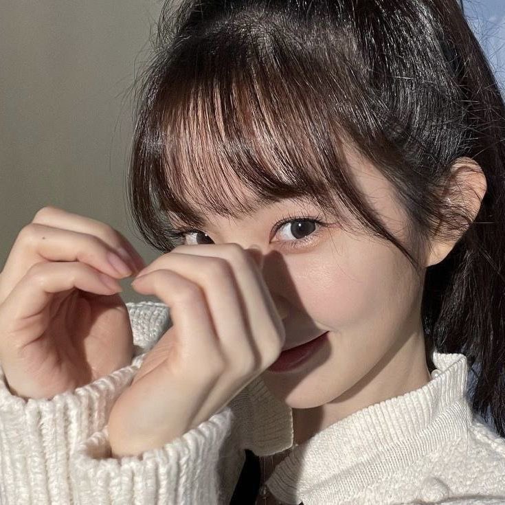 cibot🫧 tweet media