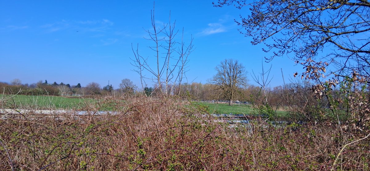 André Meyer tweet media