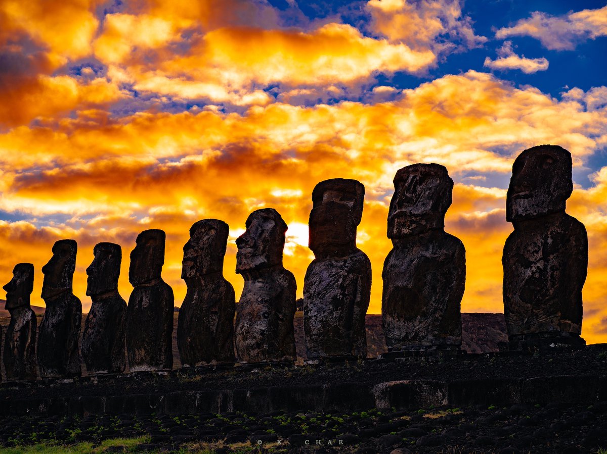 케이채 (K. CHAE) tweet media