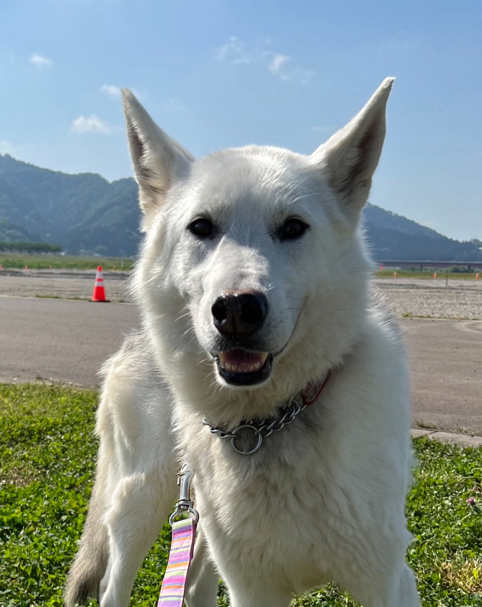 ヒロ マサミ tweet media