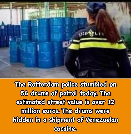 dave lawrence 🐟🐟🐠 tweet media