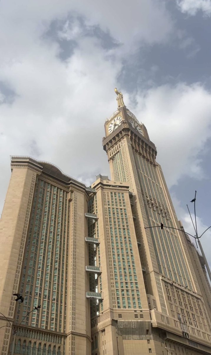 بندر tweet media