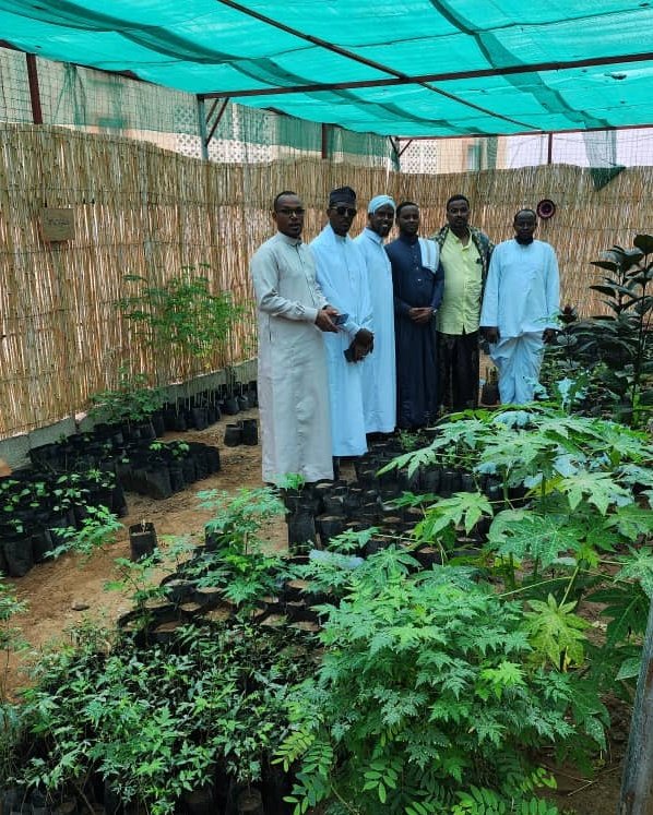 Med Robleh tweet media