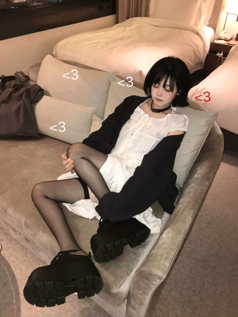 고양이복정 tweet media