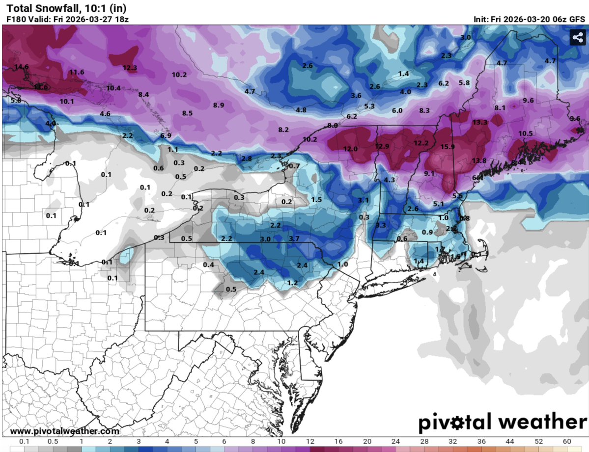 Tim Kelley tweet media