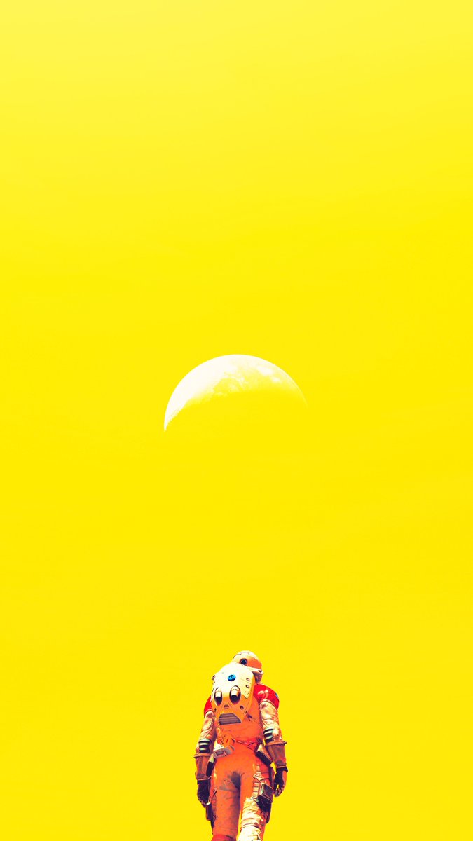 どんきち Donnkichi tweet media