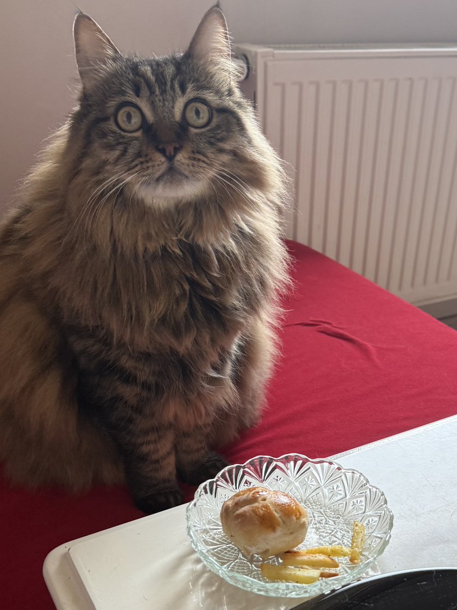 Balım Öztekir tweet media