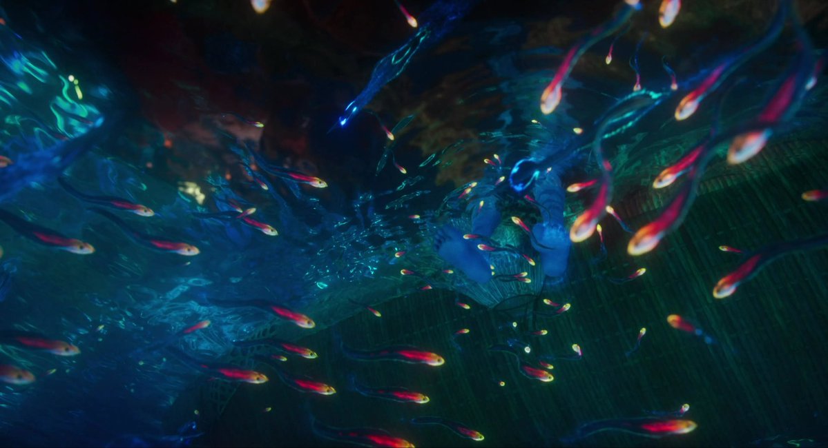 best of avatar tweet media