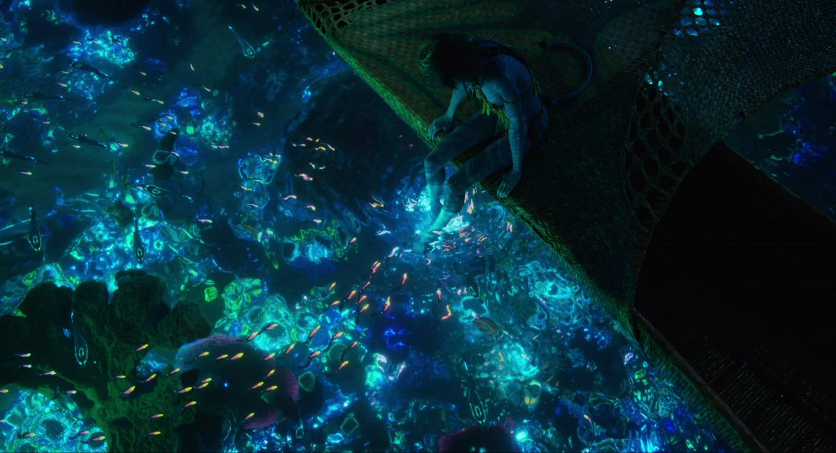 best of avatar tweet media