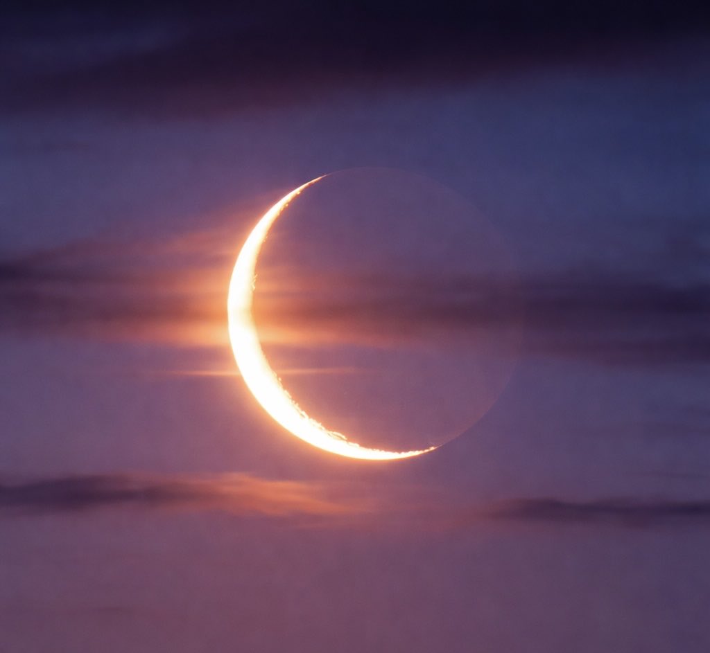 BRICS News tweet media