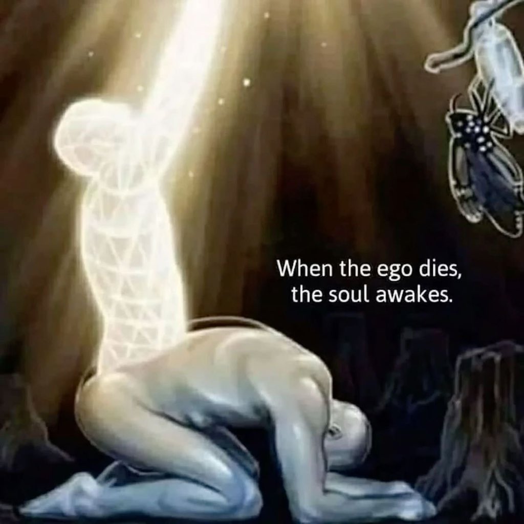 Principal⭐️ tweet media