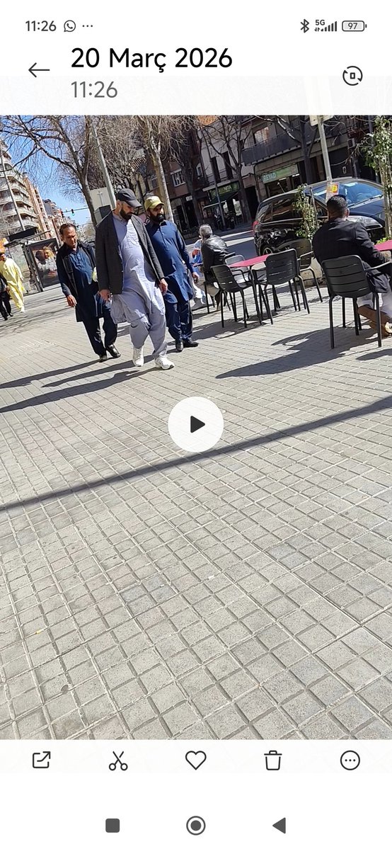 pepipussa tweet media