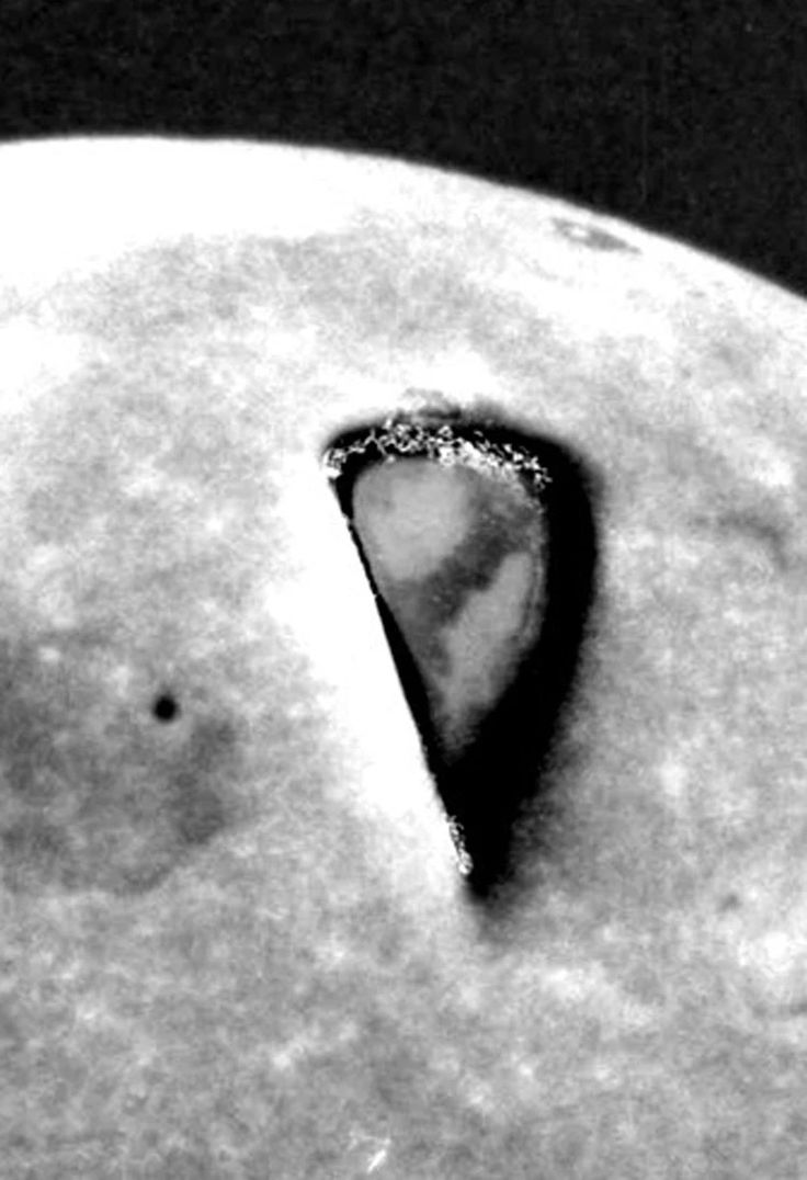 UFO mania tweet media