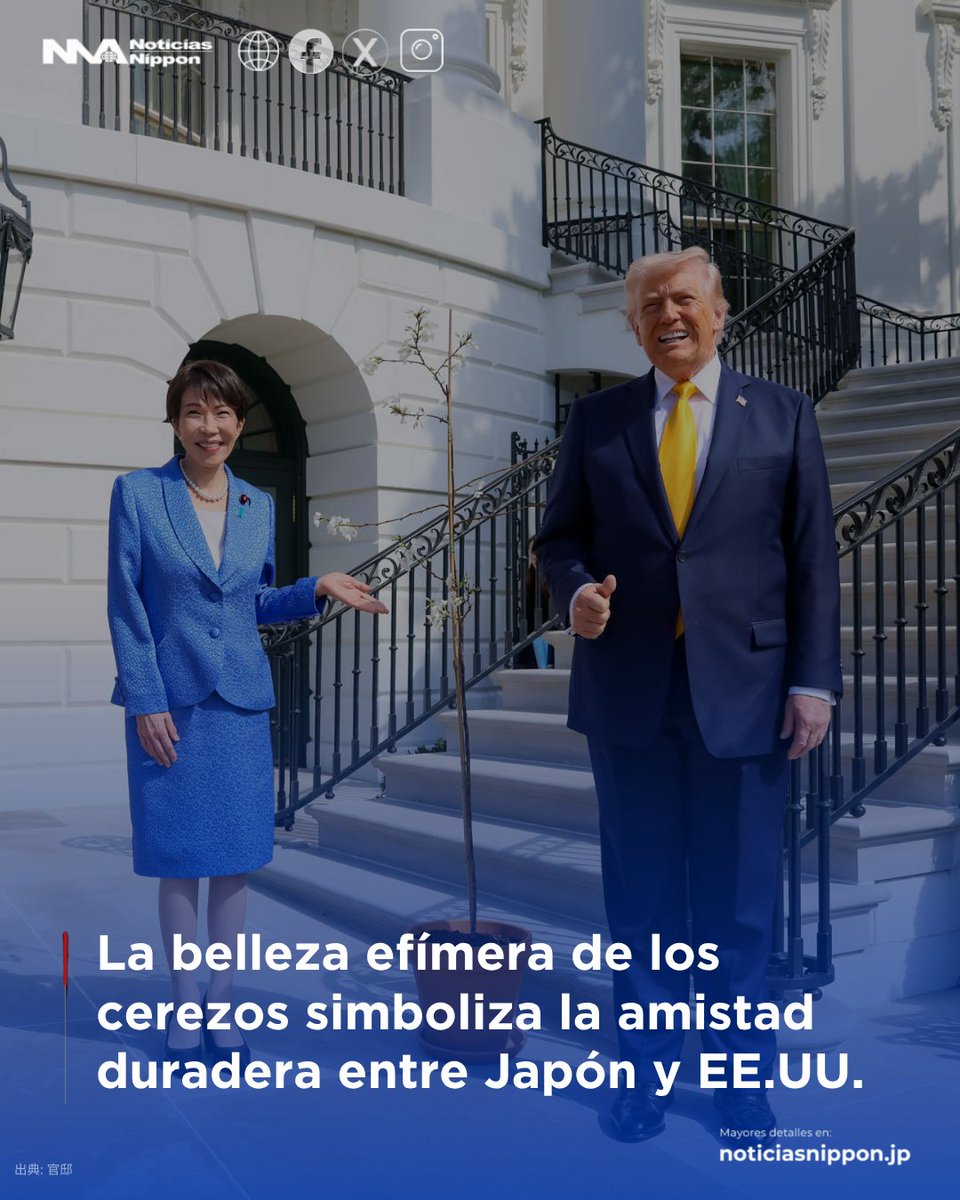 NoticiasNippon's tweet photo. [#外交 | #gaikō]  Un símbolo de amistad eterna: #Takaichi y #Trump capturan un momento histórico junto a los #cerezos donados por #Japón a #EstadosUnidos.

👉 https://t.co/NkGWmqXBSr

#桜  #sakura #Japón #EstadosUnidos #noticiasnippon #noticiasdejapón https://t.co/7sdVos8KCv
