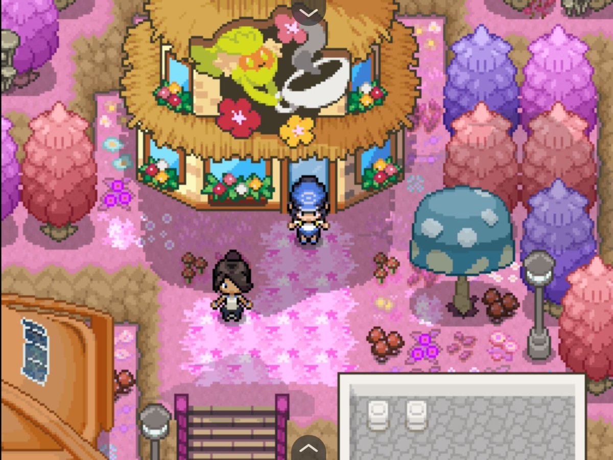 PokeFlips tweet media