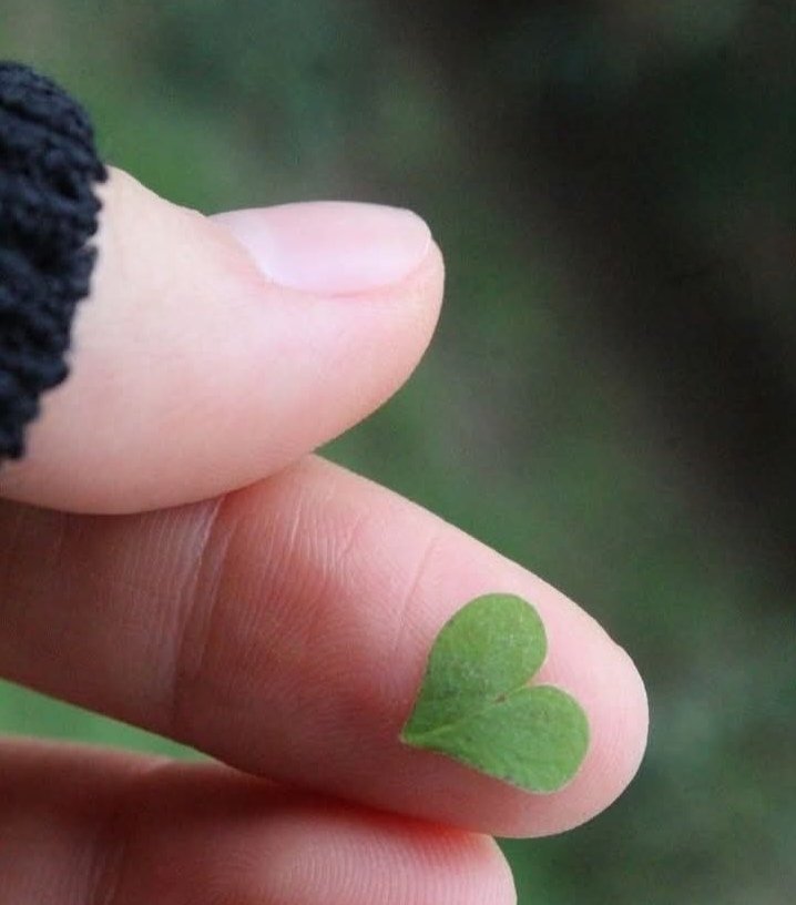 Valentine 💄 tweet media