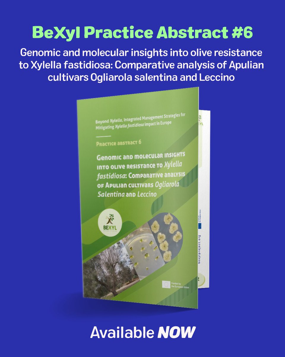 Bexyl Project tweet media