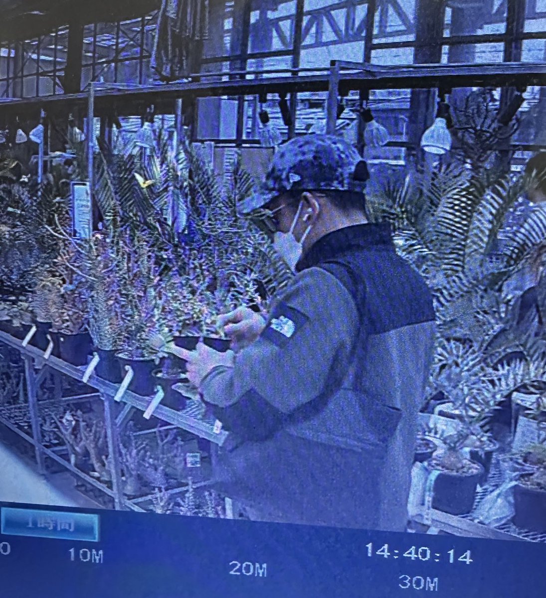 シマムラ園芸 tweet media